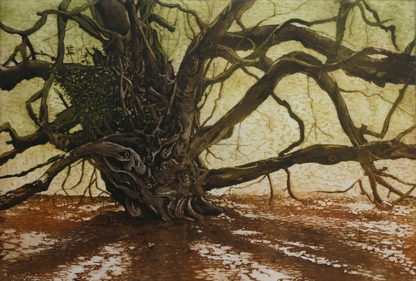 Edition - The Witches' Broom Tree II