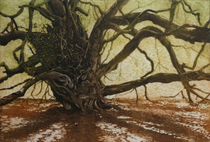 The Witches' Broom Tree II