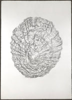 Trace No.2