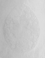 Galaxy egg