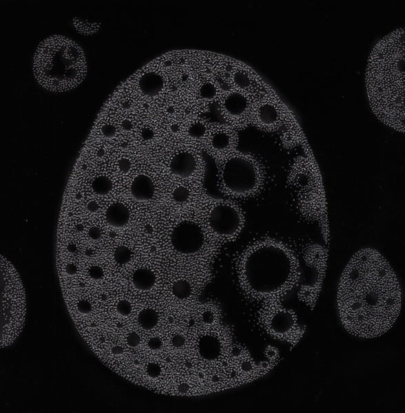 Galaxy egg