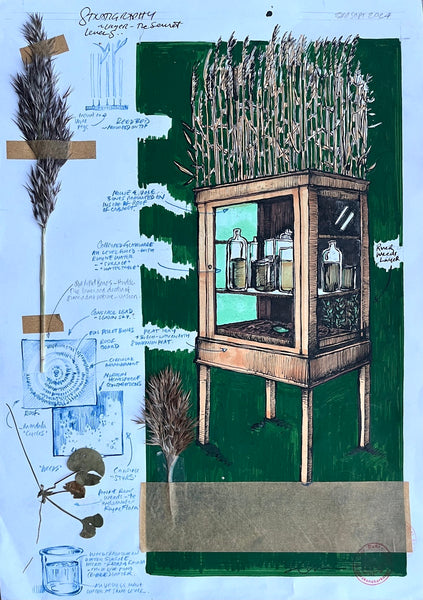 Stratigraphy (Working Drawing)
