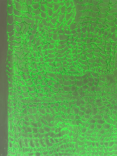Waterfall (iii)