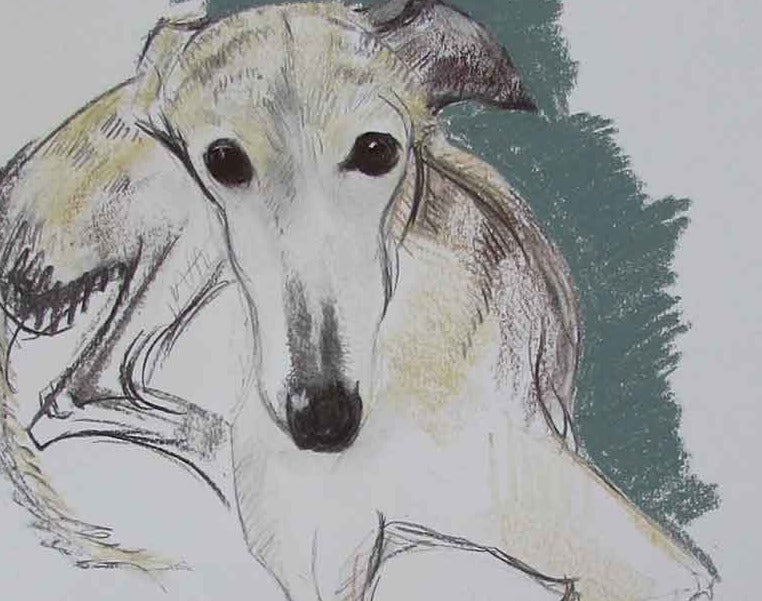 Dog Drawing - Zoom class