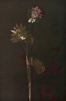 Rococo 2