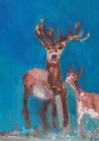 Deer