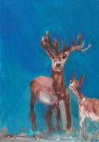 Deer