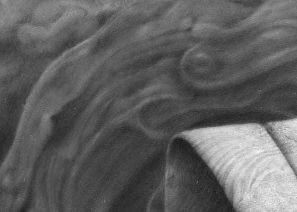 Tube II