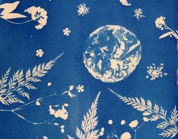 White botanical illustrations on a blue background