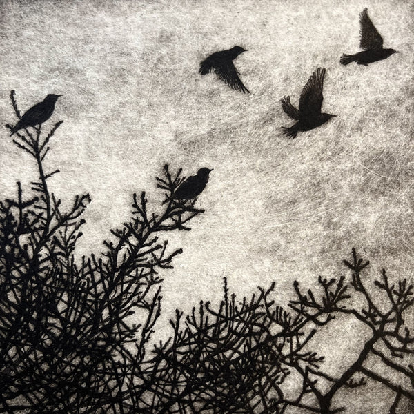 Faith Chevannes, Our Starlings