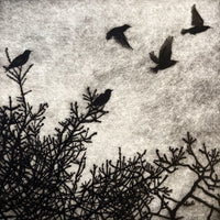 Faith Chevannes, Our Starlings