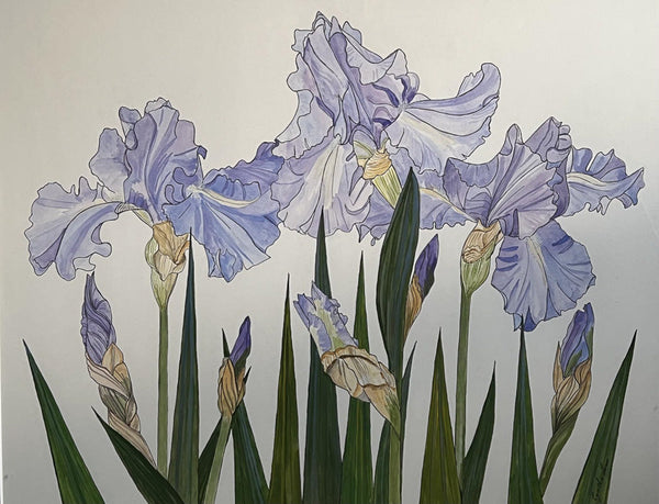 059, Cynthia Lear RWA- Pale Blue Irises