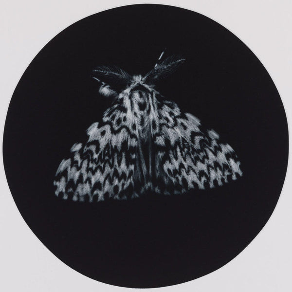 014, Sarah Gillespie RWA- Black Arches
