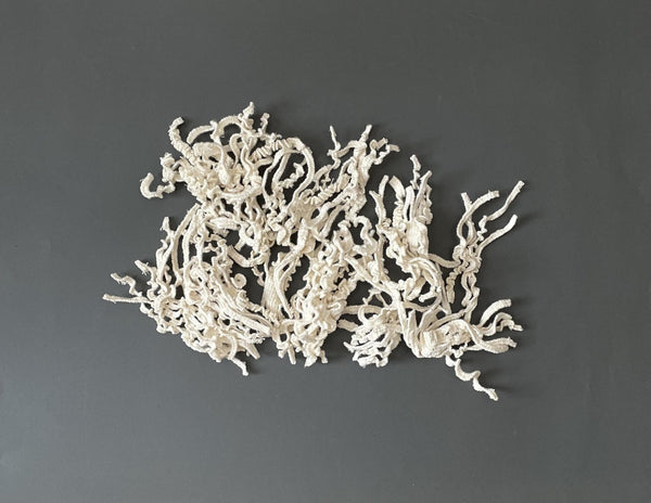 259, Sarah Hill - Lophelia Pertusa