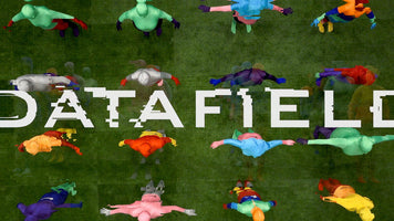 507, Alyson Minkley - Datafield