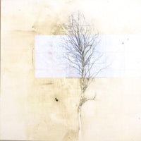 119, Vanessa Clegg - Birch