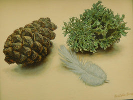 012, Christopher James - Lichen, Pinecone and Feather