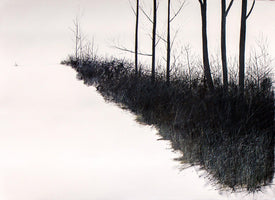 273, Miriam Sheppard - Liminality xi