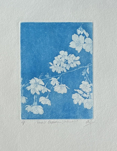 194, Annabel Maciver - Small Blossom (Sakura) i