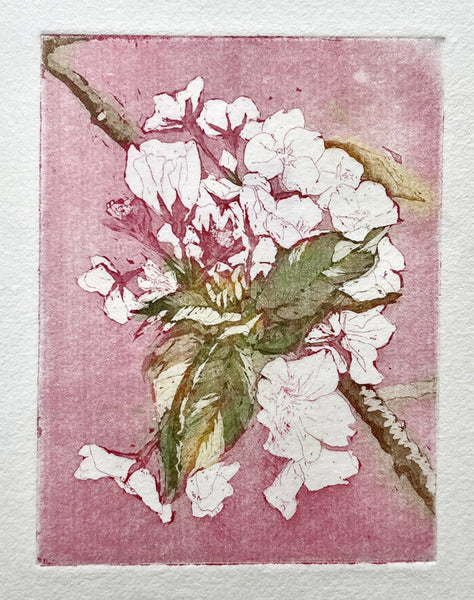 193, Annabel Maciver - Small Blossom (Sakura) iii