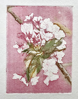 193, Annabel Maciver - Small Blossom (Sakura) iii