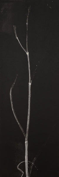 314, Charlotte Price RWA- Husk #4