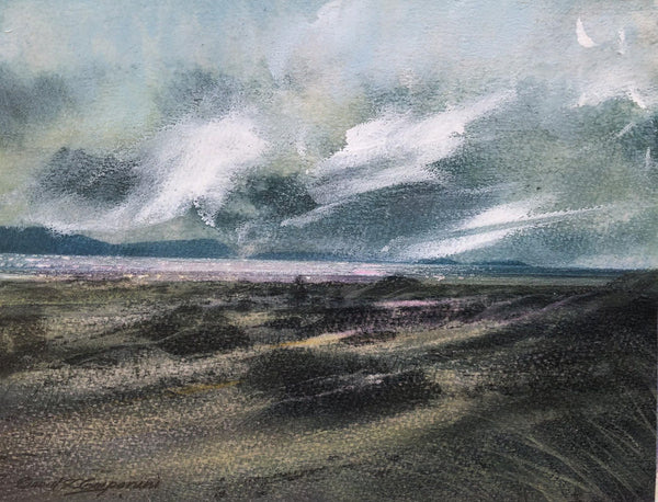 411, David Carpanini PPRE HRWS NEAC RCA HRBSA RWA- Pembrey Sand Dunes 2