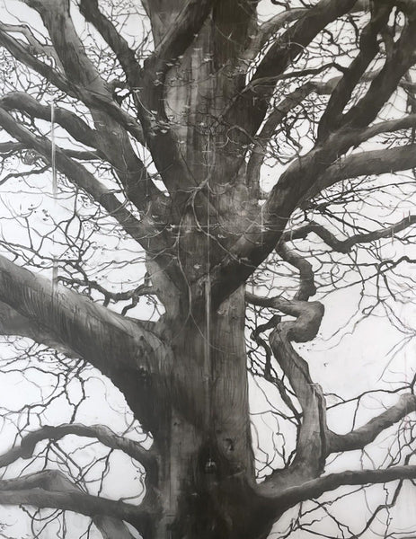 283, Laurie Steen RWA- (Detail of) Guardian, Drawing 07-23