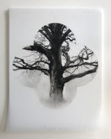 304, Laurie Steen RWA- Vignette XXXXII
