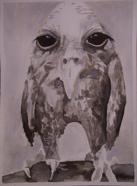 224, Andrew Muñoz RWA- Owlish