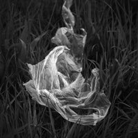 300, Graham Parton - Single Use