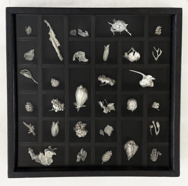 281, Karen Painter - Fragility (3)