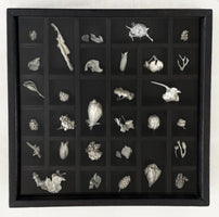 281, Karen Painter - Fragility (3)