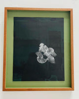 269, Katy Connor PhD RWA- Germinating Seeds (HydroPoetics: Series of Automatic Drawings)