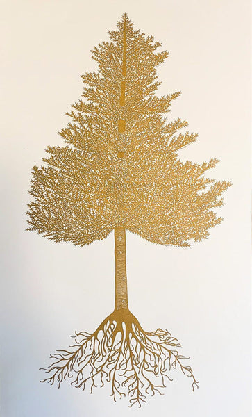 446, Victoria Owen - Abiding Fir