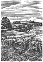200, Howard Phipps RWA- Coombe Bissett Down