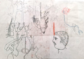 262, Sarah Chapman - We Live For The Trees