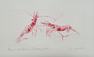 154, Frances Gynn RWA- Cardinal Shrimp