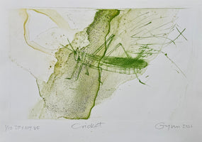 155, Frances Gynn RWA- Cricket