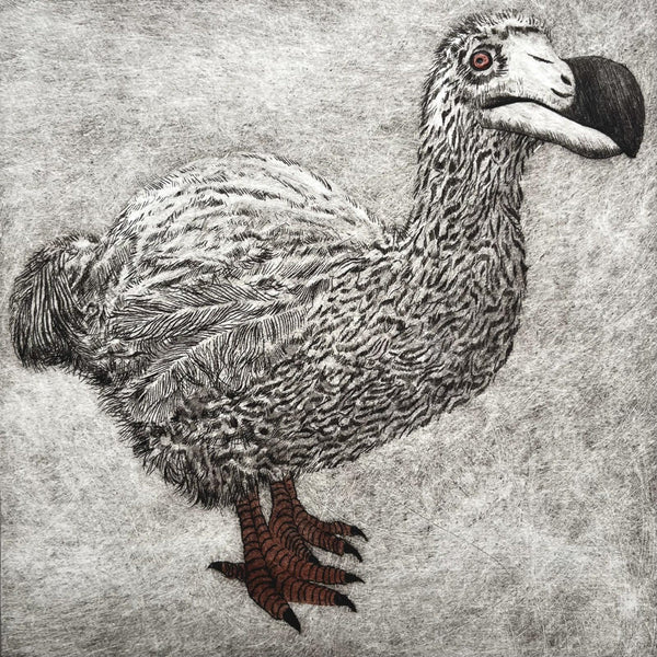 030, Faith Chevannes - The Faux Dodo