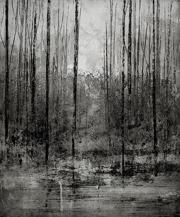 022, Sally Adkins, Our life is a faint tracing on the surface of mystery