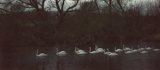 Jem Southam: A Bend In The River