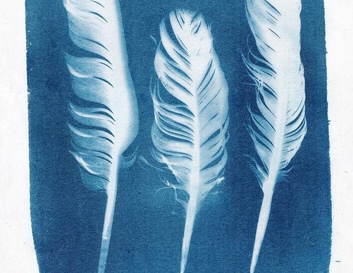 Junior Drawing School - Cyanotypes